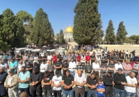 60 ألفا يؤدون الجمعة في الأقصى رغم إجراءات الاحتلال