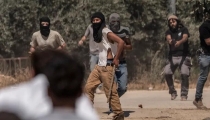 مستعمرون يحرقون أراضي ومركبات ويعتدون على منازل في جيت شرق قلقيلية