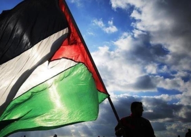 القاهرة: فلسطين تشارك في ندوة حول "الاستجابة لاحتياجات الأشخاص ذوي الإعاقة في الأزمات والأوبئة"