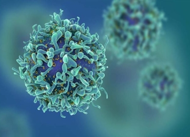 فكرة جديدة لعلاج السرطان عن طريق تثبيت الخلايا السرطانية في أماكنها
