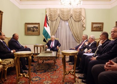 الرئيس يستقبل وزير الخارجية المصري