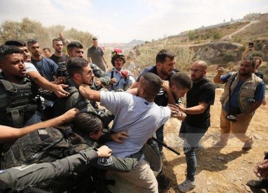 الخليل: الاحتلال يعتدي على نشطاء ضد الاستيطان ويعتقل 3 متضامنين