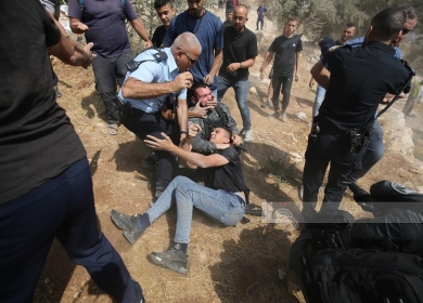 تواصل انتهاكات الاحتلال: شهيدان ومصابون واعتقالات وتقطيع أشجار واعتداءات على المركبات