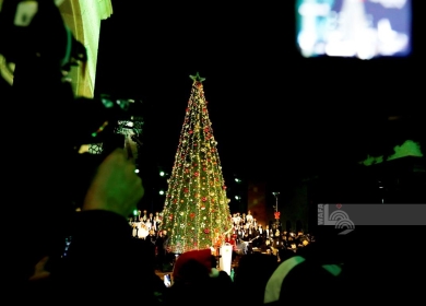 إضاءة شجرة الميلاد في مدينة روابي