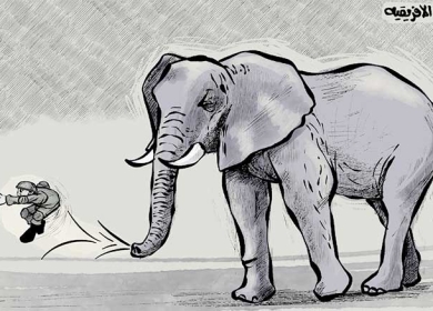 القمة الافريقية ودولة الاحتلال ...