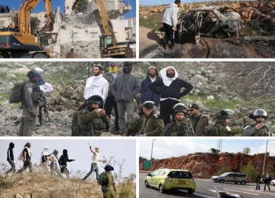 مقاومة الجدار والاستيطان: 1593 اعتداء نفذها الاحتلال ومستعمروه الشهر الماضي