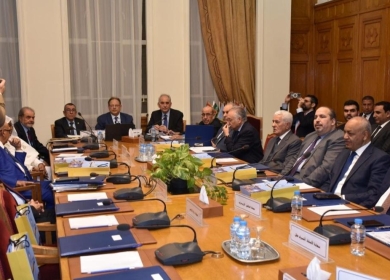 أبو الغيط أمام مجموعة السلام العربي: مأساة غزة لا يمكن معالجتها إلا بمعالجة القضية الفلسطينية بإنهاء الاحتلال