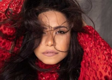 ما هي شروط حضور حفل شيرين عبد الوهاب؟