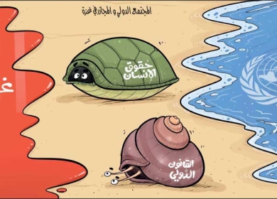 مجازر غزة والمجتمع الدولي ...