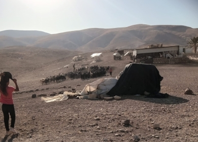 رأس العوجا تحت مِدَقّ المستعمرين!