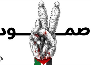 صمـــــود