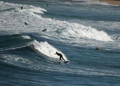 أستراليا: رغوة غريبة وأسماك نافقة تغزو الشواطئ وتصيب راكبي الأمواج بالأمراض