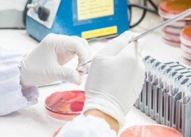 المكسيك تؤكد أول حالة إصابة بشرية بداء الدودة الحلزونية