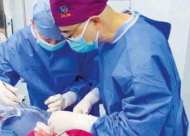 لأول مرة في العالم: علماء يزرعون رئة خنزير في جسم إنسان