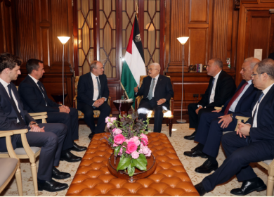 الرئيس يلتقي زعيم الحزب الديمقراطي الليبرالي البريطاني