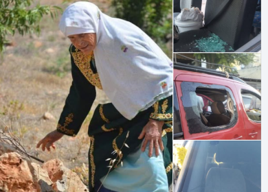مستعمرون يهاجمون قاطفي الزيتون جنوب نابلس وشرق بيت لحم