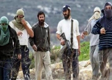 مستعمرون يهاجمون مركبات المواطنين قرب مادما جنوب نابلس