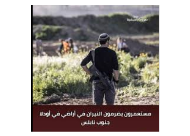 مستعمرون يضرمون النيران في أراضي في أودلا جنوب نابلس