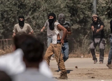 مستعمرون يحرقون أراضي ومركبات ويعتدون على منازل في جيت شرق قلقيلية