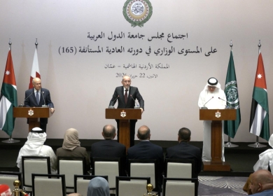 مجلس الجامعة العربية يعتمد تعيين نبيل فهمي أميناً عاماً جديداً.. وشاهين تدعو إلى دعم عملي عاجل لفلسطين