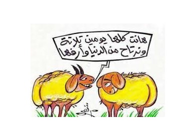 حديث \\\" الخرفان \\\" هذه الأيام .....