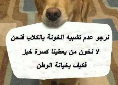 الكلاب تحتج ...!!