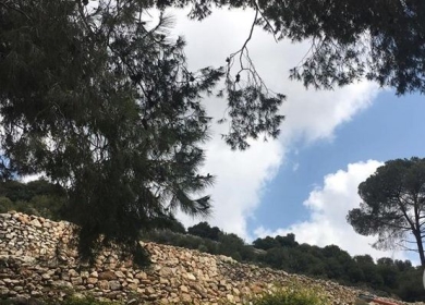 حالة الطقس: انخفاض على درجات الحرارة