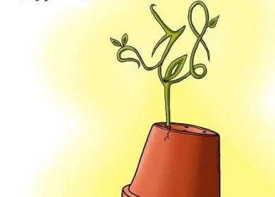 يجب على الجميع رعايتها وحمايتها والإعتناء بها