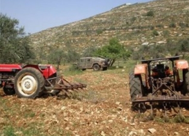 الاحتلال يمنع مزارعين من حراثة أراضيهم في عين الحلوة ويحتجز جرارا
