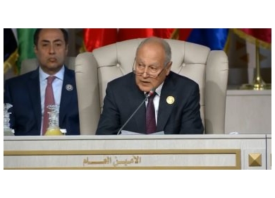 أبو الغيط: جهود لعقد اجتماع وزاري لبحث تنفيذ مبادرة السلام العربية بدعوة عربية أوروبية