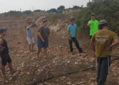 مستوطنون يمددون خط مياه لحظيرة أقاموها بالأغوار الشمالية