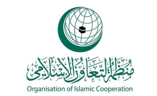 "التعاون الإسلامي": "الفيتو" الأميركي يخالف أحكام ميثاق الأمم المتحدة
