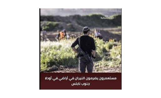 مستعمرون يضرمون النيران في أراضي في أودلا جنوب نابلس