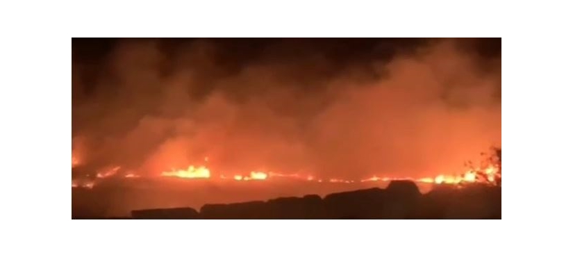 مستعمرون يعتدون على المواطنين ويحرقون أراضي زراعية في المسعودية شمال غرب نابلس